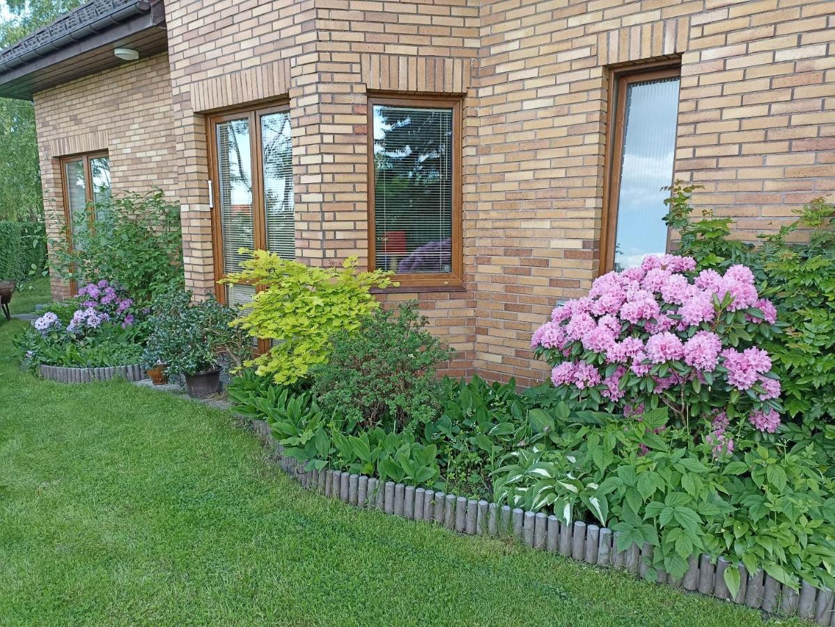 Dom Turysty Na Skarpie Apartment Malbork Ngoại thất bức ảnh