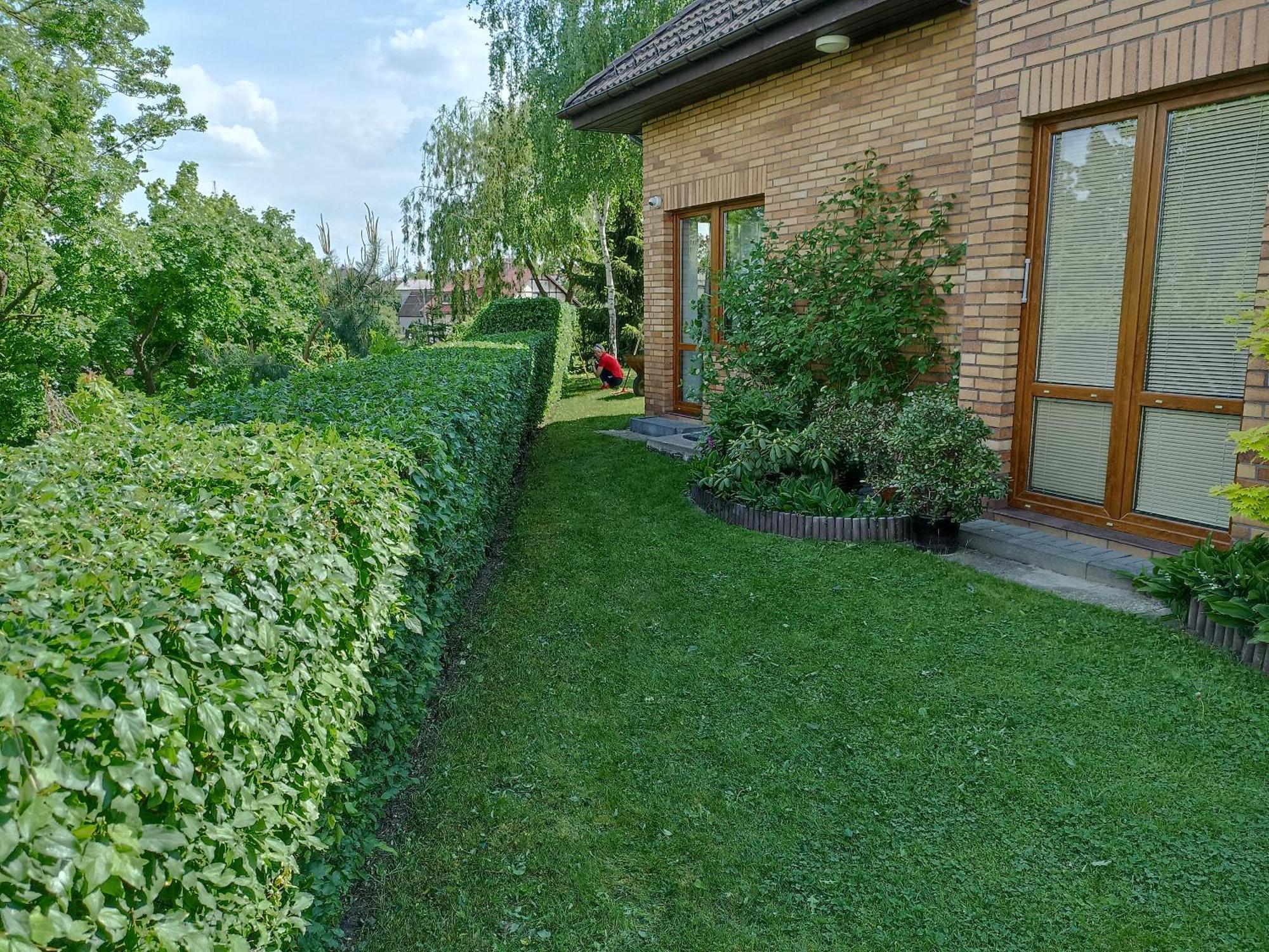 Dom Turysty Na Skarpie Apartment Malbork Ngoại thất bức ảnh